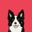 «Border Collie», impression sur toile tendue-19741544-74740625-74740626