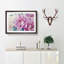 Watercolour Pink Peonies in Abstract - Picture Frame Painting Print-55761577-55761578