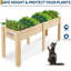Raised Garden Bed-704824082-704824085