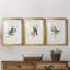«Spring Song Blue Bird» - ensemble de photos encadrées-384428554-384428533