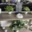 Digby Artificial Plant in White Pot Set