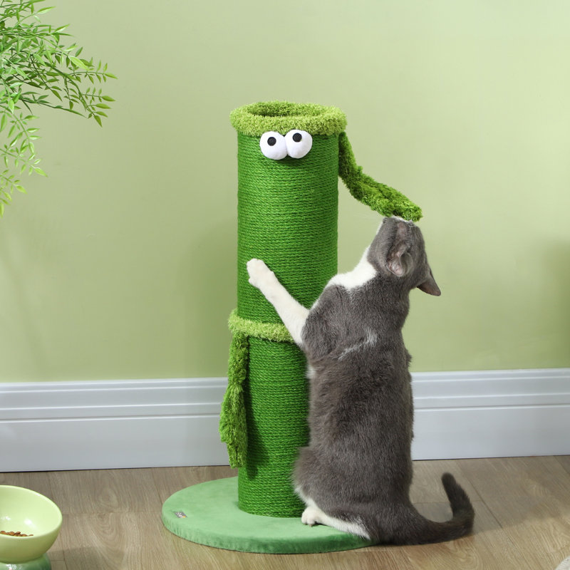 Scratching Post