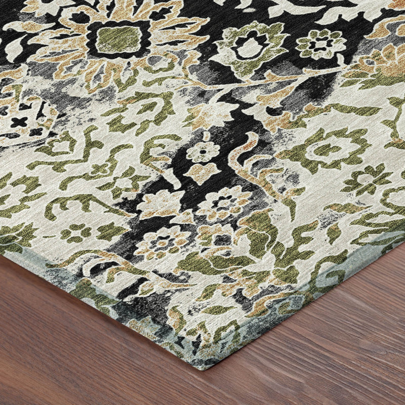 Machine Washable Indoor/Outdoor Chantille ACN2584 Traditional Rug, 2'6" x 3'10", Black