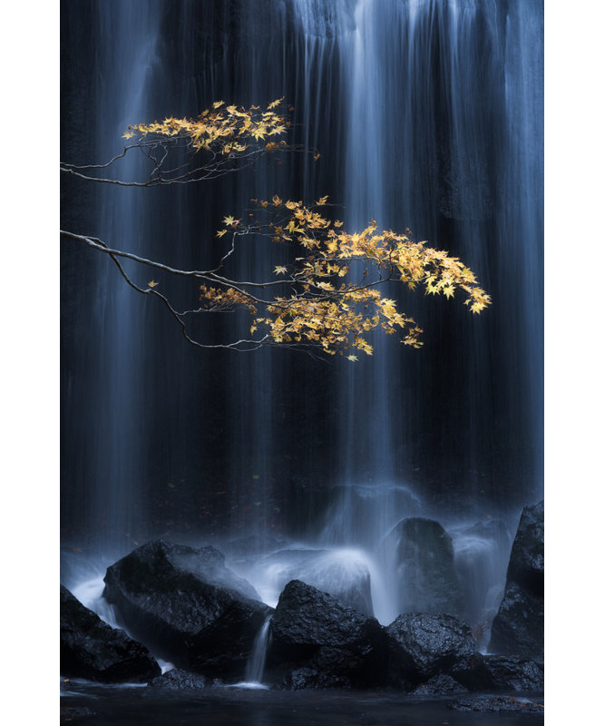 Wrapped Canvas Print, 50.8 cm H x 76.2 cm W