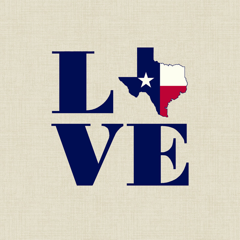 18" x 18" Outdoor Throw Pillow with Welt, Love Texas