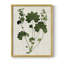 «Forest Foliage on Linen», reproduction encadrée en bois massif-645122292