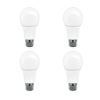 Ampoules DEL Strak A19