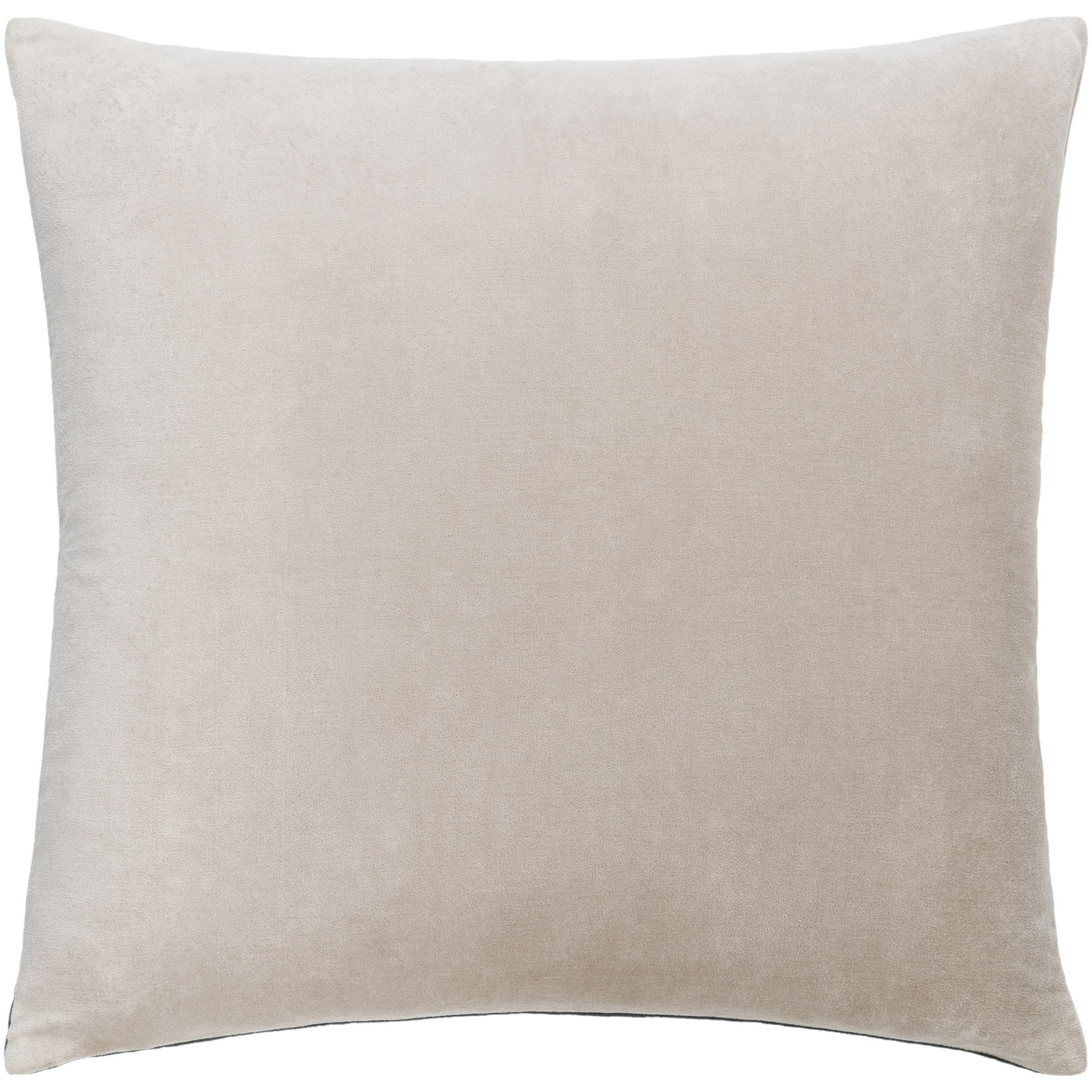 Denny Cotton Throw Pillow, Polyester/Polyfill, 20" x 20", Seafoam