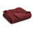 Floral Embossed Ultra-Soft Quilted Bedspread Set – Lightweight, All-Season Comfort With Matching Pillow Shams-121329535-121329536