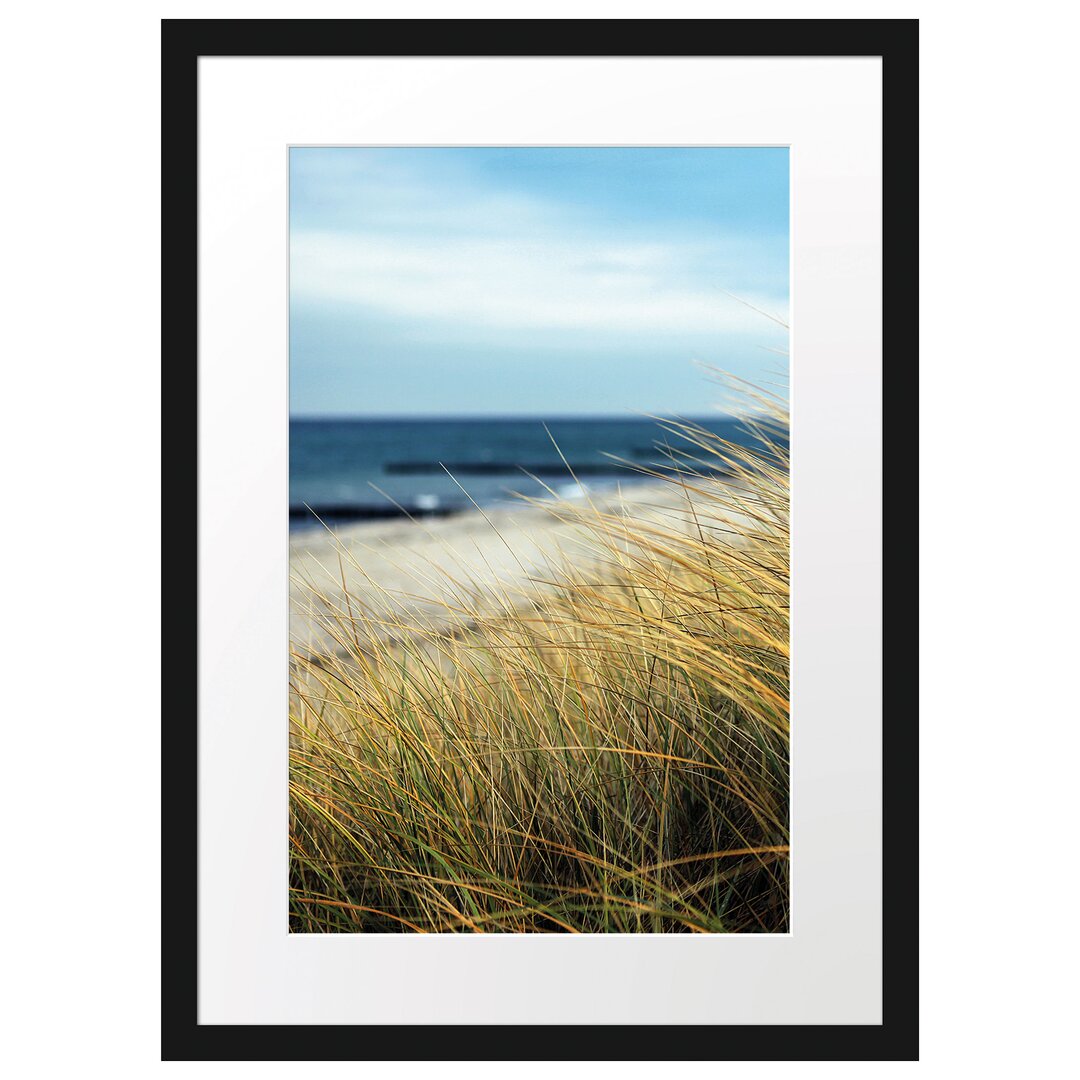 Gerahmtes Poster Sanddünen mit Schilfgras am Meer