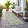 Lummus Washable Damask Indoor / Outdoor Rug