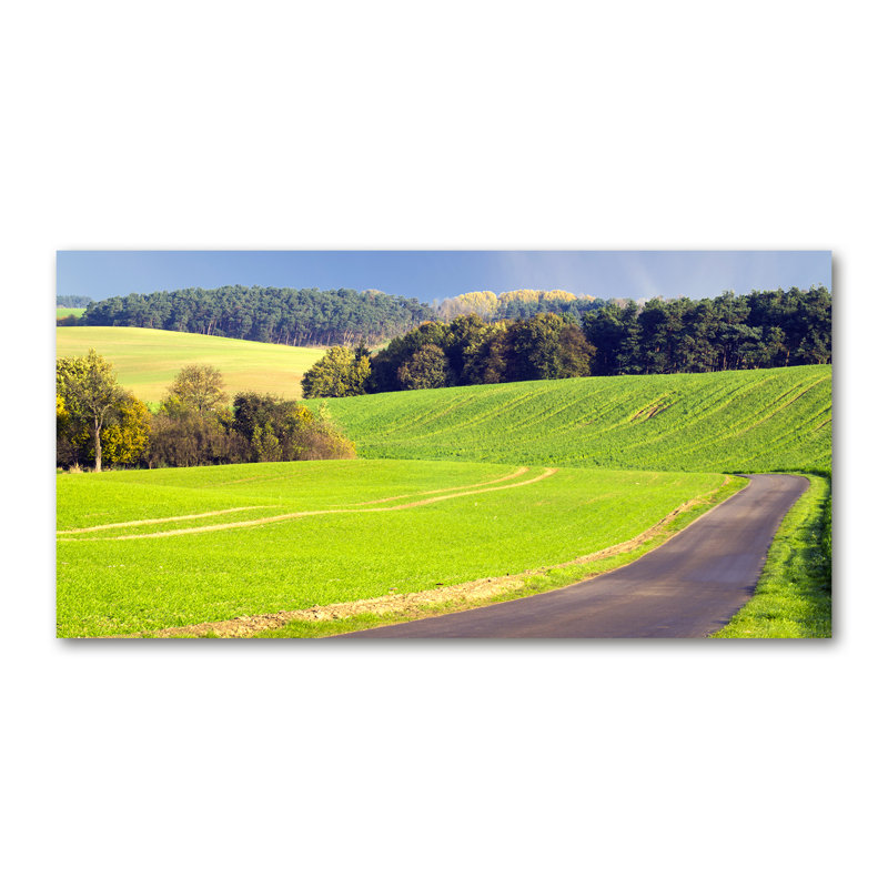 50cm W x 100cm L Glass Peel and Stick Panel