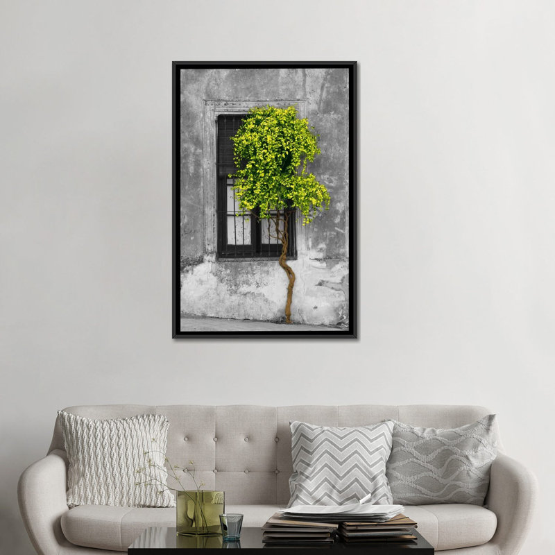Arbre en face de la fenêtre par Panoramic Images - reproduction de photo sur toile, H 48 po x l 32 po x P 1,5 po