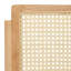 Safavieh Couture Desiree Rattan Patio Folding Chair Set of 2-1031554510