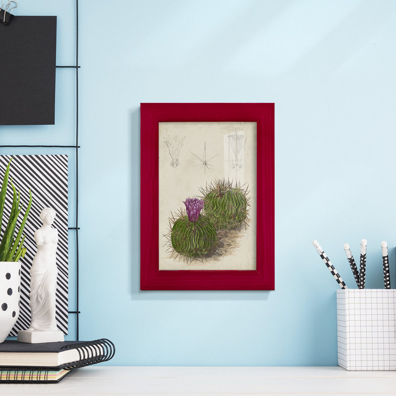 Cactus antique II - impression encadrée avec verre, Rouge, H 6 po x l 4 po x P 1 po