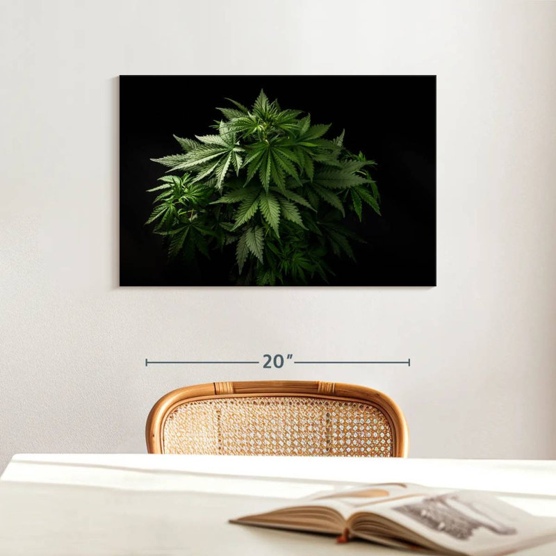 Senne Marijuana Cluster, 16" H x 24" W