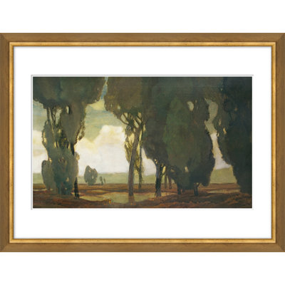 Eucalyptus Grove Giclee Print