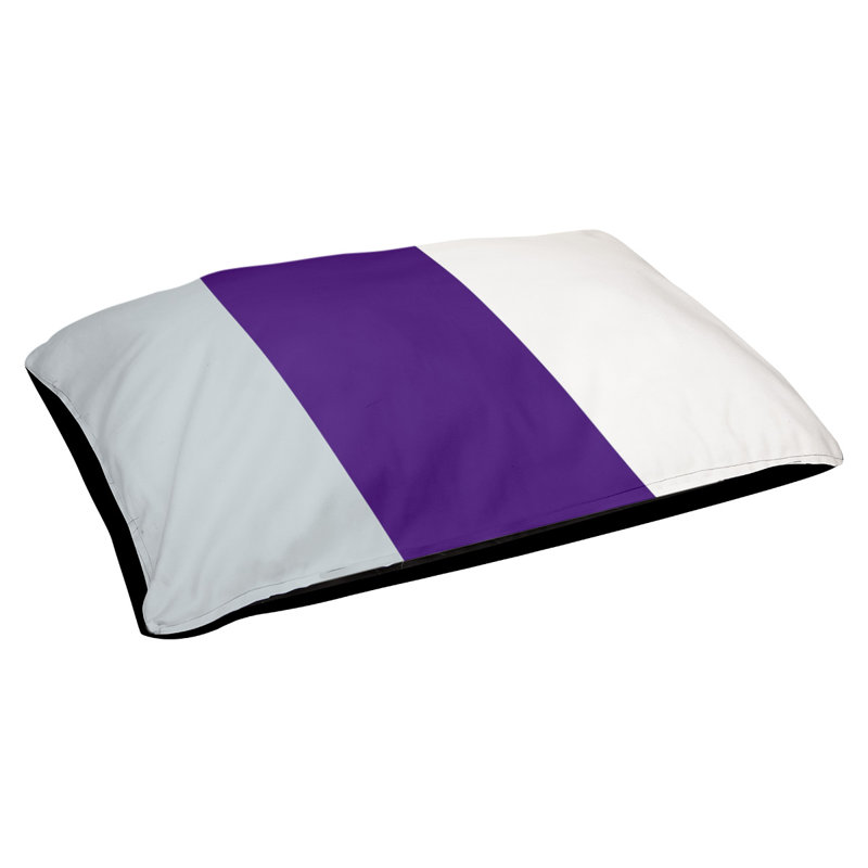 Coussin Golden State, Moyen (l 28 po x P 18 po x H 9,5 po), Silver/Purple/White