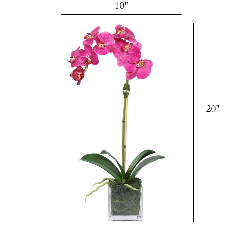 Orchid Arrangement In Square Glass Vase, Pink