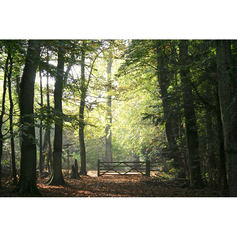 Country Gate - Photographie sur toile tendue, L 12 po x H 8 po