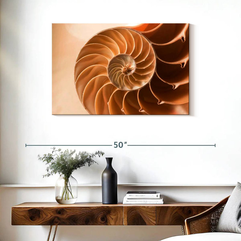 Coque Aletra Nautilus à l'intérieur, H 24 po x l 36 po