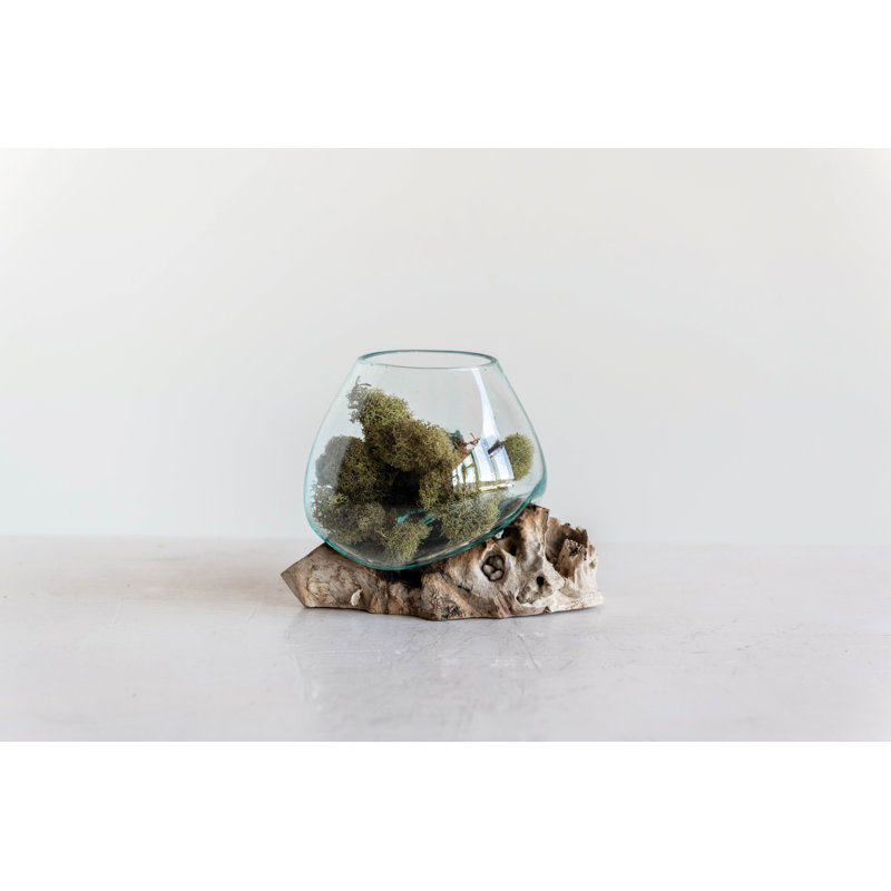 Kaydenze Decorative Glass Planter on Wood Base