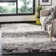 Docia Charcoal/Light Grey Area Rug