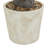 31'' Faux Agave Plant in Pot