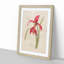 Amaryllis Flower by Pierre-Joseph Redoute - Single Picture Frame Painting-55544909-55544910