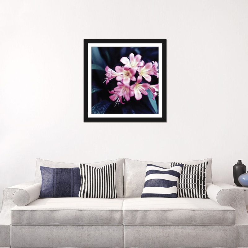 «Pink Blossom II», reproduction de photo sur toile, Papier d'art encadré noir, H 24 po x l 24 po x P 1 po, Blanc