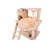 Dremann 55.1'' H Cat Tree