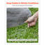 No Subject Garden Stone