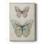Papillon botanique I - galerie sur mesure-1109345303