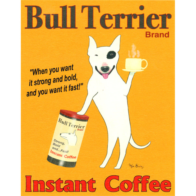 Bull Bull Terrier, H 18 po x l 14 po