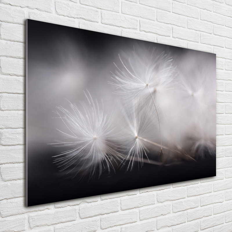 Dandelion Seeds - Unframed Art Prints on Glass