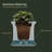 Anastasiya Resin Window Box Planter with Water Reservoir-9872668