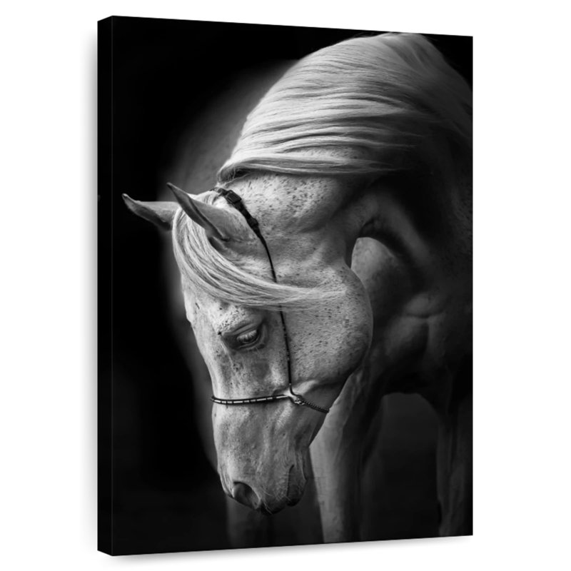 Brampt Pure White Stallion, 45" H x 30" W