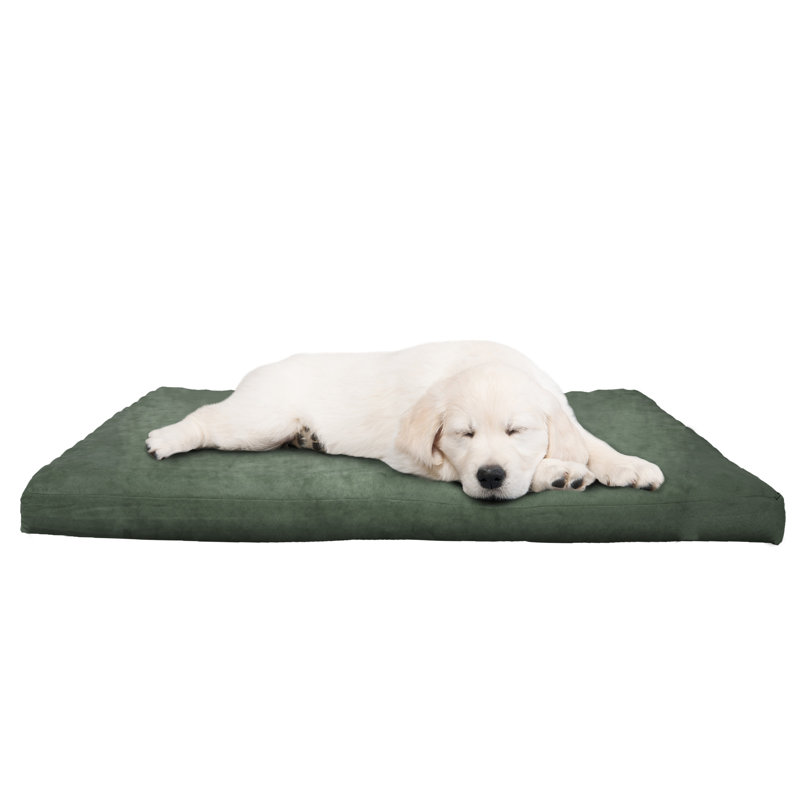 Lit orthopédique pour chien en mousse PETMAker - 25,5 x 19 po, vert, Forêt, Petit (l 19 po x P 25,5 po x H 3 po)