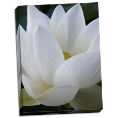 " Lotus " by Jim Christensen