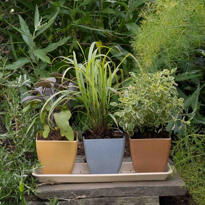 Astaire Pot Planter