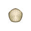 Occasion Full/Standard Fixed Shower Head-1643138532-1663171483