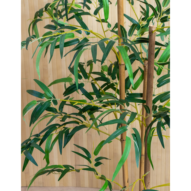 98 cm H Faux Bamboo Tree Plant in Plastic Pot