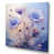 Toile tendue