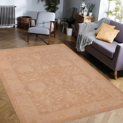 Baccio Wool Oriental Indoor Rug