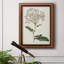 Toile encadrée de qualité supérieure Antique Botanical Collection-4172228
