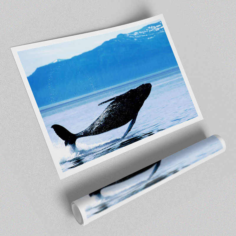 Whale Of A Time - No Frame Print, 100cm H x 141.4cm W