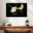 Harnek Calla Lily Flower-107694577