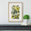 Various Ivy Leaves by Shirley Hibberd - Picture Frame Painting Print-55763969-55763970