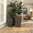 Pot Planter-1179965560
