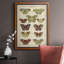 Histoire Naturelle Butterflies V, toile encadrée de qualité supérieure - prête à être accrochée-1485618688